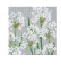 Paperwhites in Silver Cocktail
