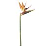 31" Bird of Paradise Spray