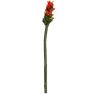 28" Ginger Flower Spray