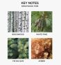 Birchwood Pine Wall Refill