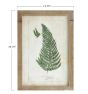 Wood Framed Fern Print
