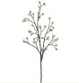 Budding Blossom Branch