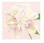 Duchess Peonies Luncheon Napkin