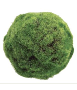 5" Green Moss Ball