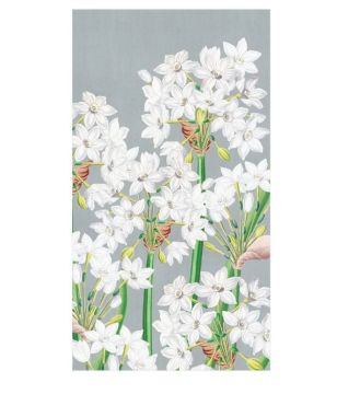 Paperwhites in Silver Guest