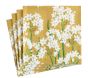 Paperwhites in Gold Cocktail