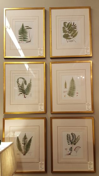 Pressed Fern Prints