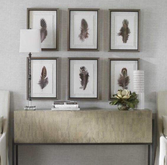 Framed Feathers