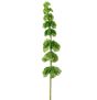 29" Bells of Ireland Spray