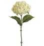25" Cream Hydrangea Spray