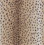 Animal Print Pillow